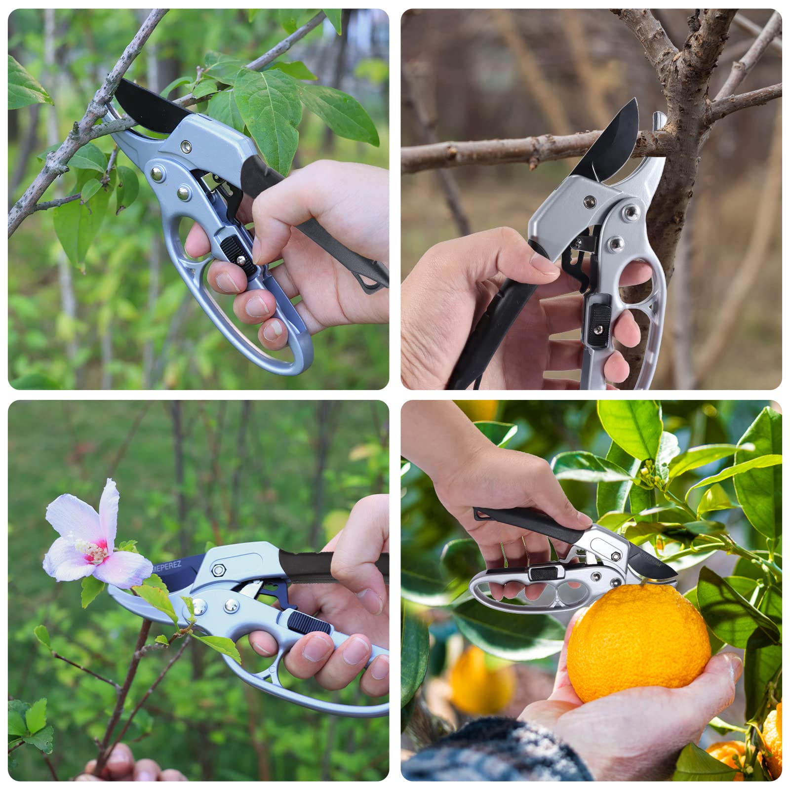 Packaging of MEPEREZ pruning shears