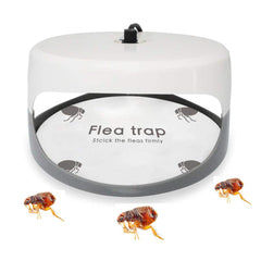 Packaging of Micnaron Flea Trap Refills 10 Pack