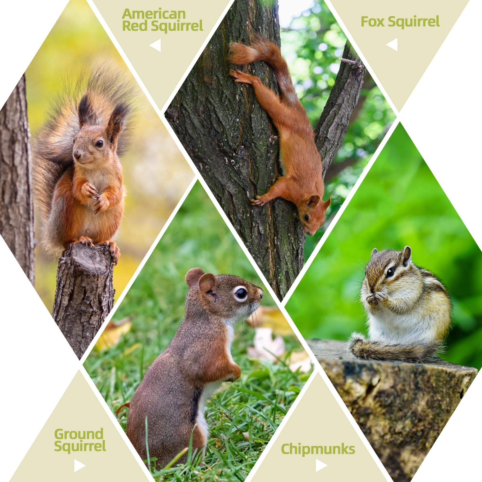 Packaging of MIXXIDEA Squirrel Feeder with umbrella