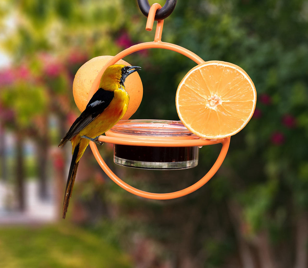 Packaging of Monarch Abode Hanging Bird Feeder with details