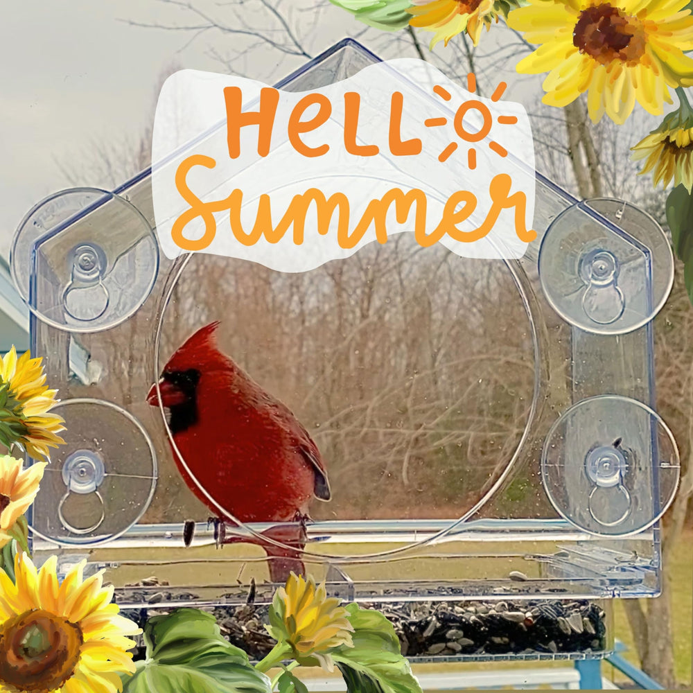 Packaging of Nature Anywhere Window Bird Feeder