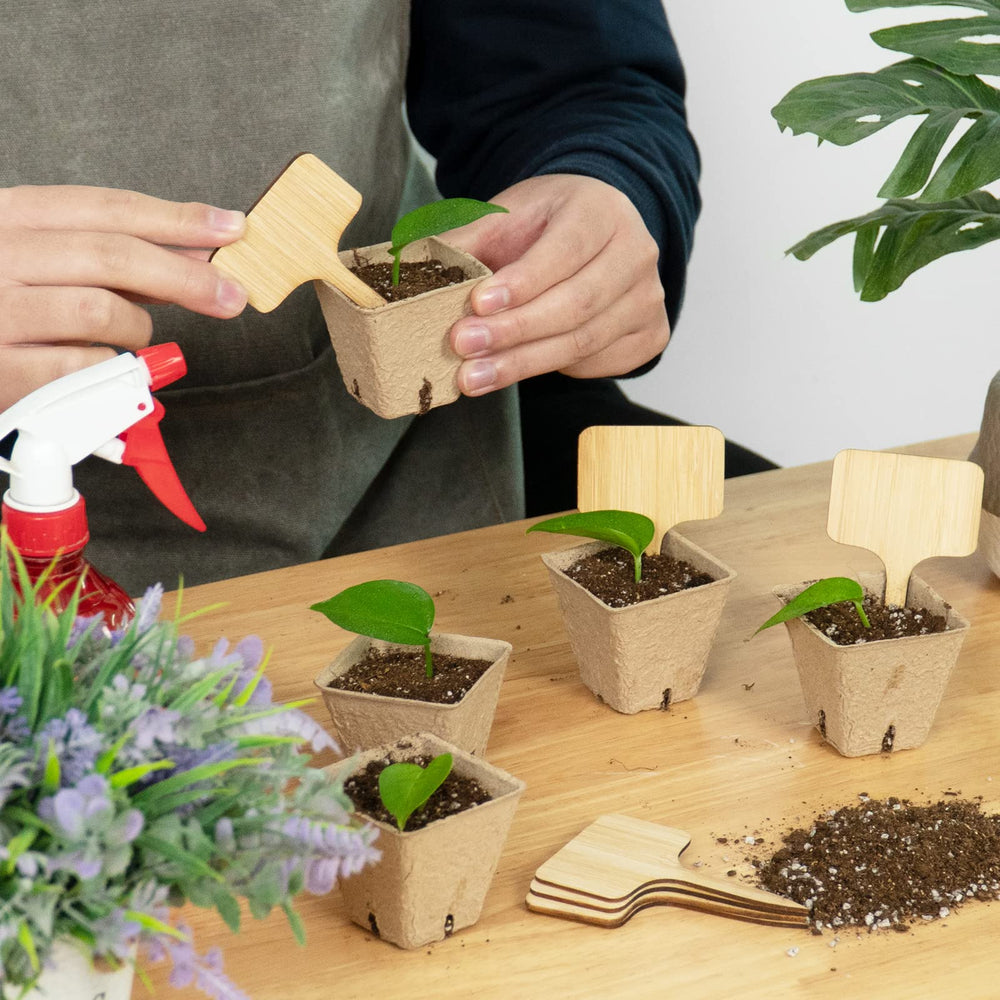 Packaging of OBTANIM bamboo plant labels