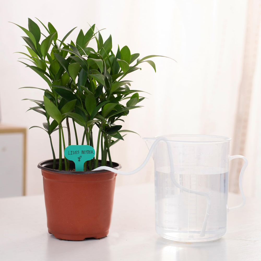 Packaging of ORIMERC self watering rope