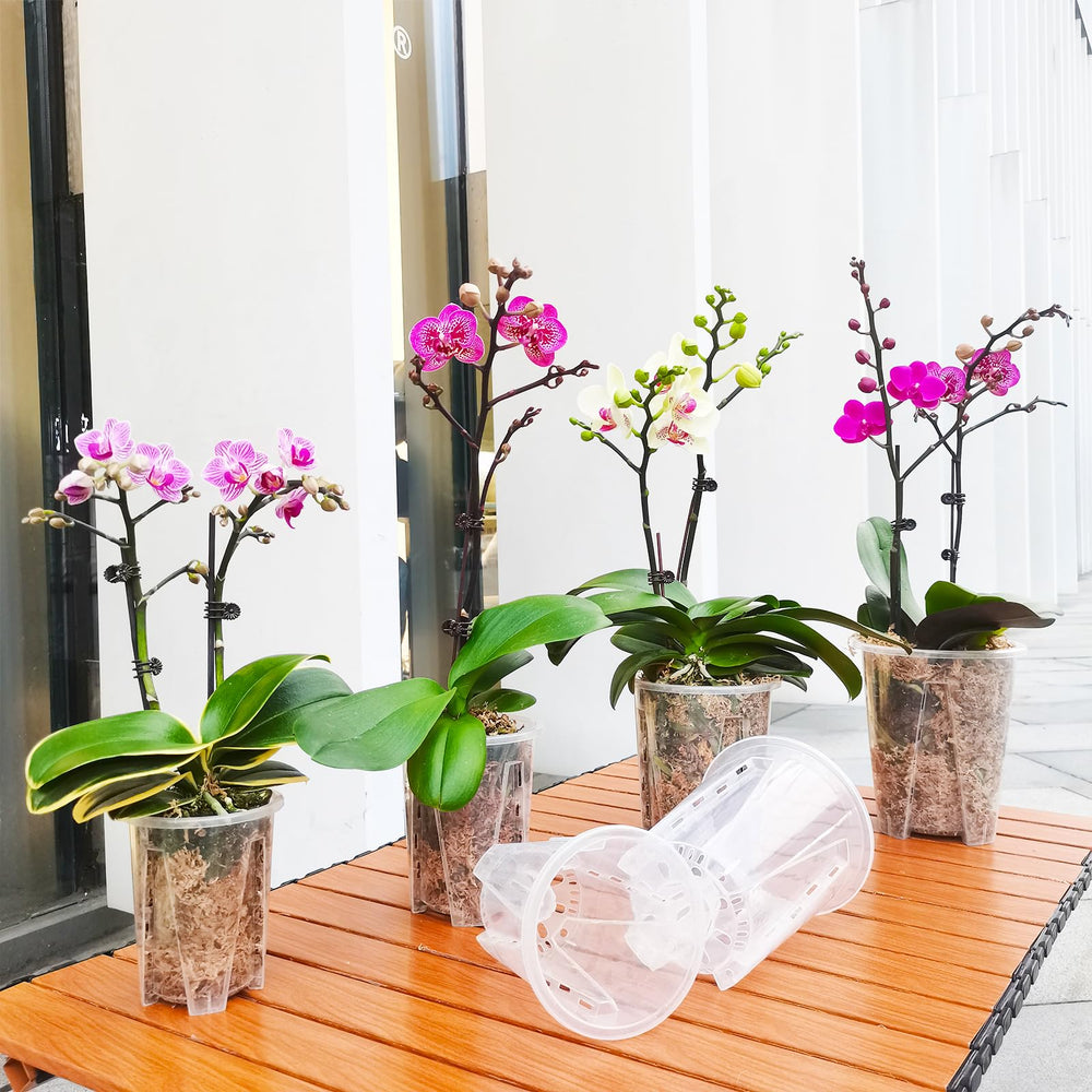 Packaging of pavtner Orchid Pots 8 Pack