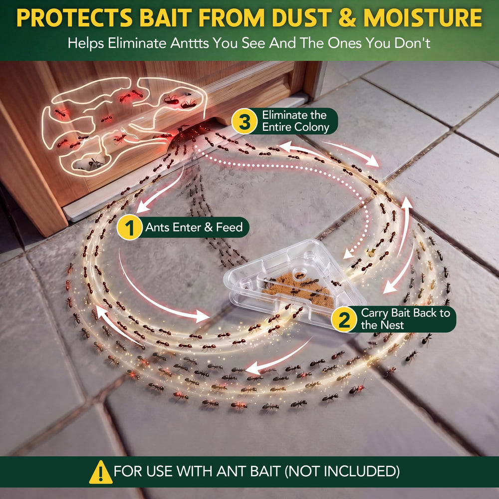 Packaging of Qualirey Ant Bait Stations showing contents