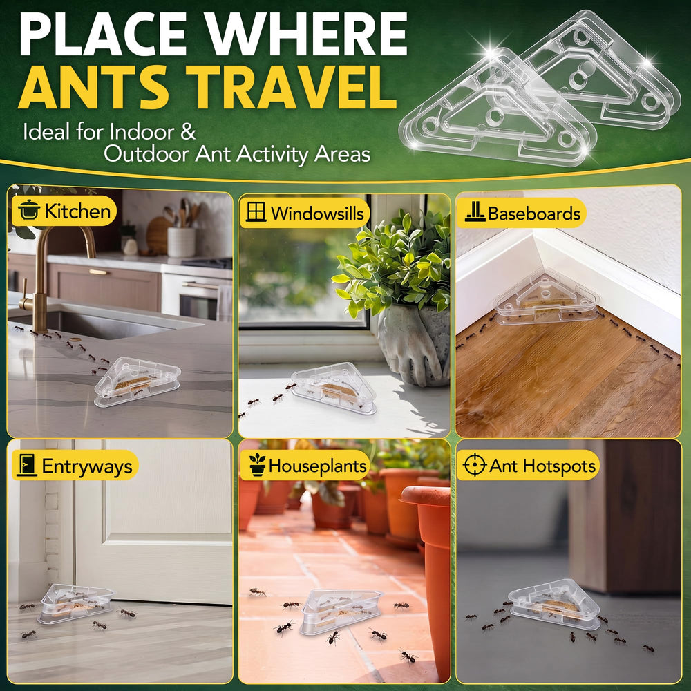 Packaging of Qualirey Ant Bait Stations with specifications