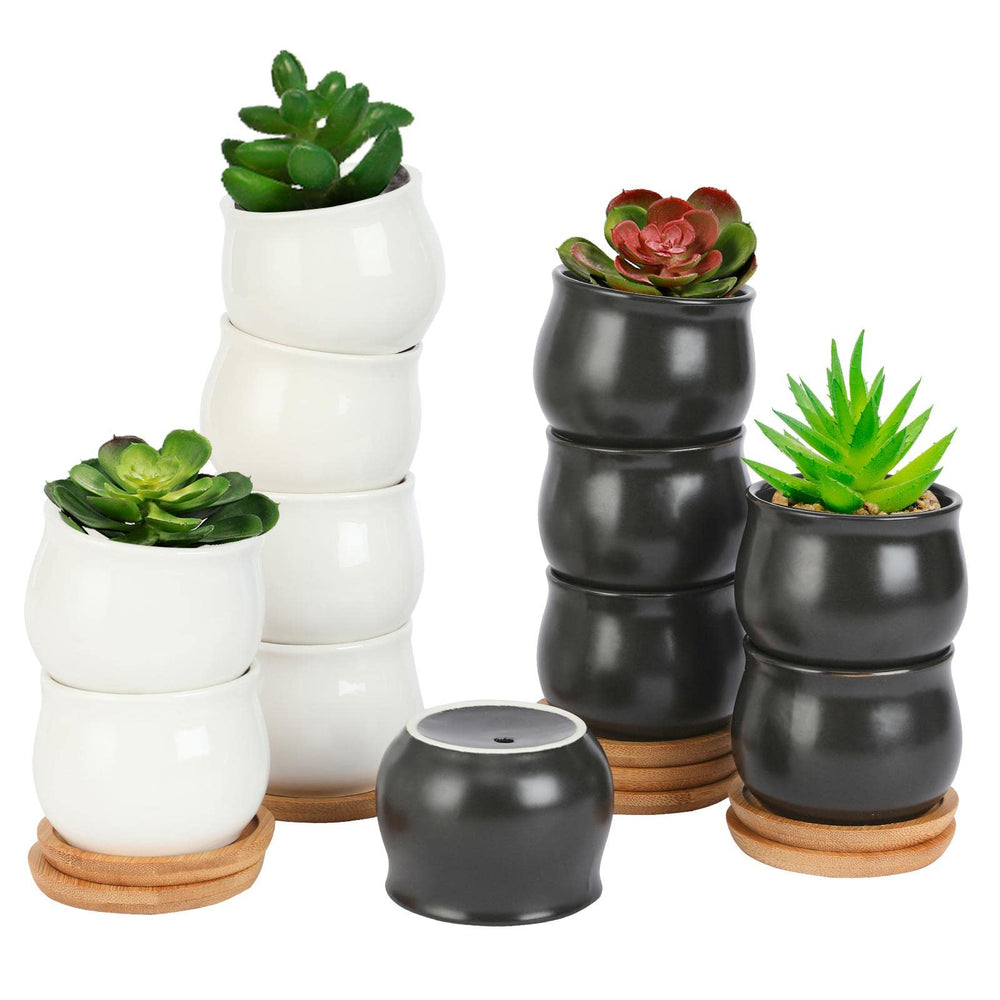 Packaging of SHECIPIN succulent plant pots