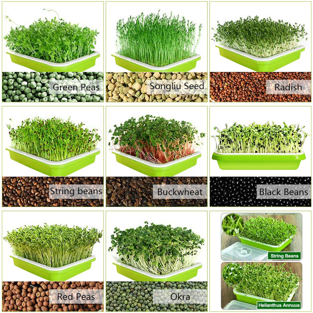 Packaging of SUNPRO Seed Sprouter Tray kit