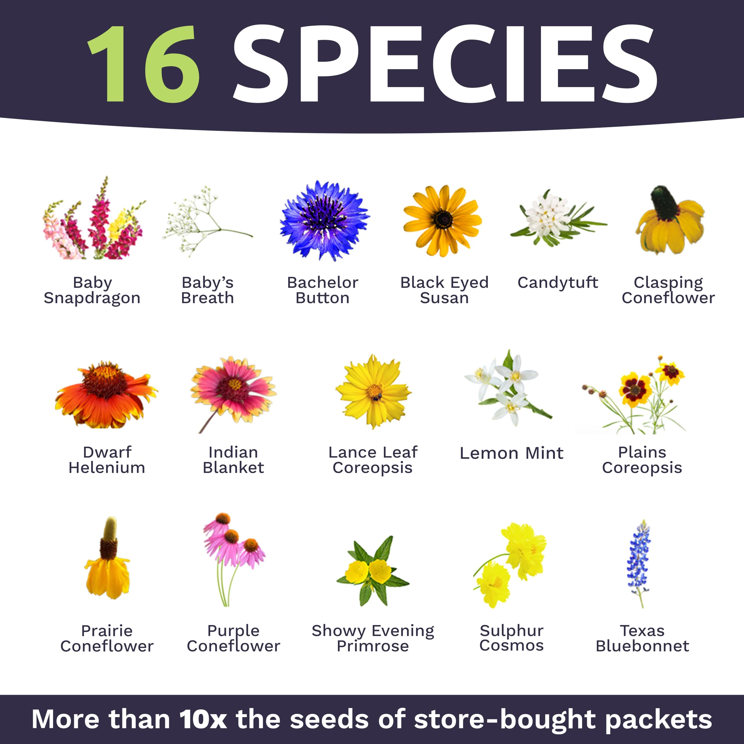 Packaging of SWEET YARDS wildflower seeds with resealable zipper
