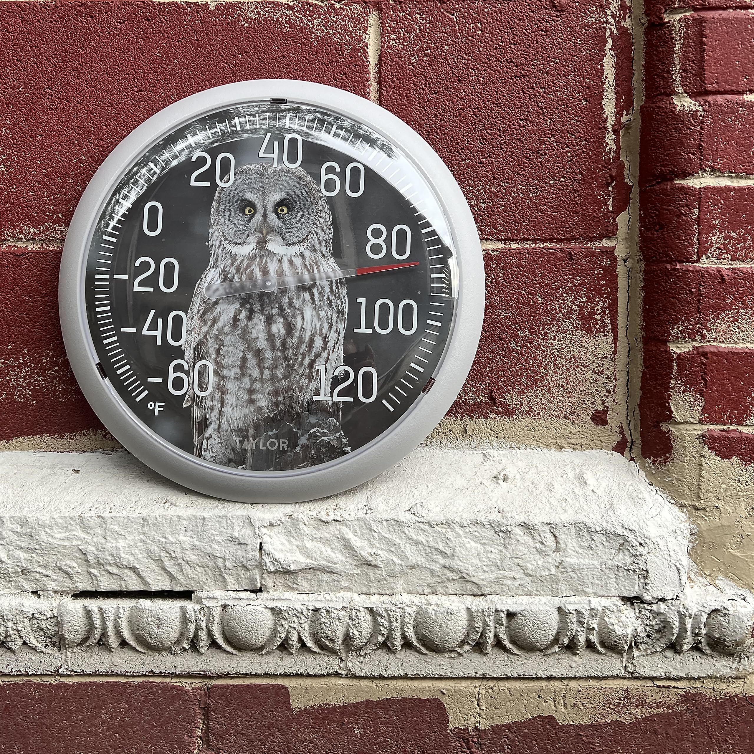 Packaging of Taylor Gray Owl Dial Thermometer