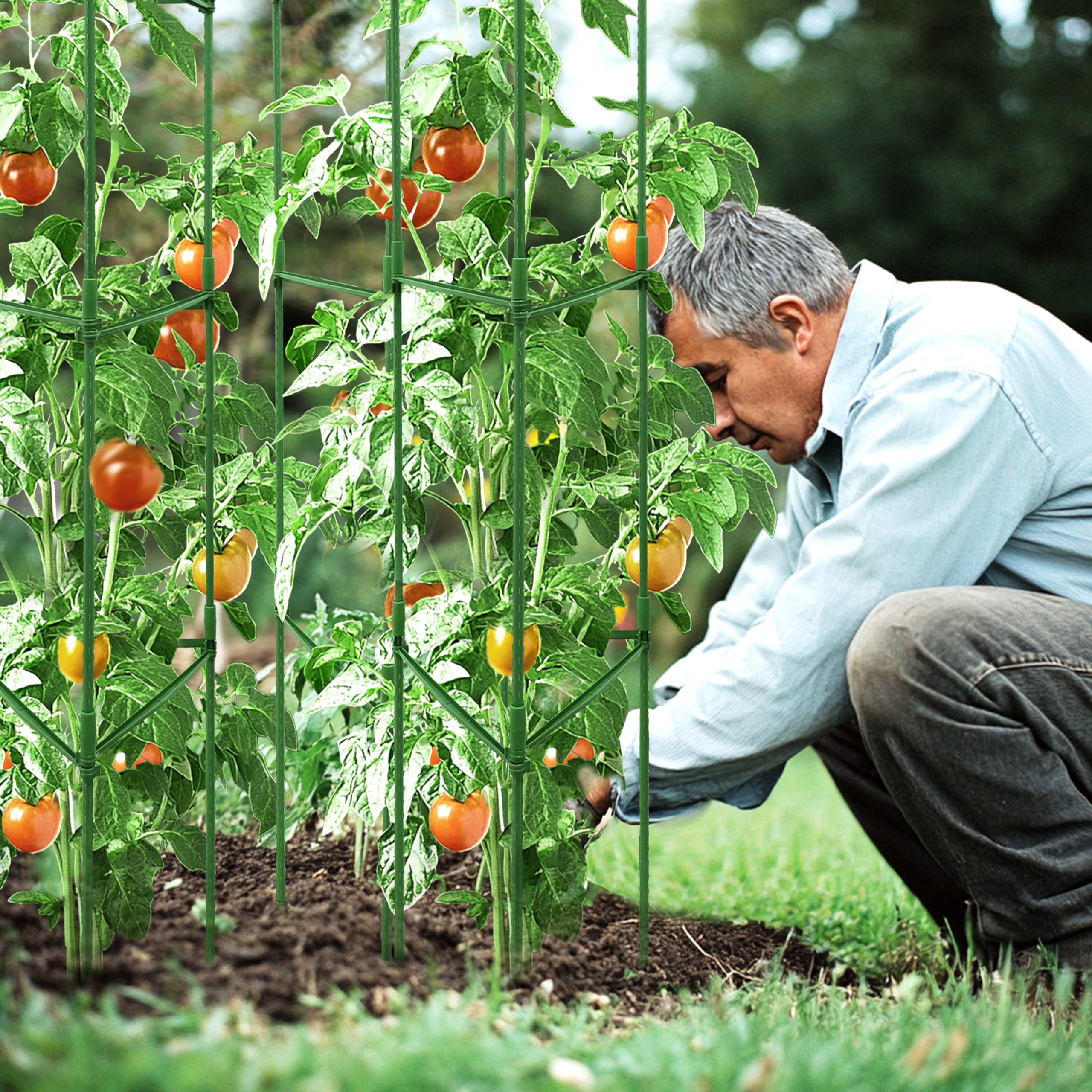 Packaging of TCBWFY 4-Pack Adjustable Tomato Cages