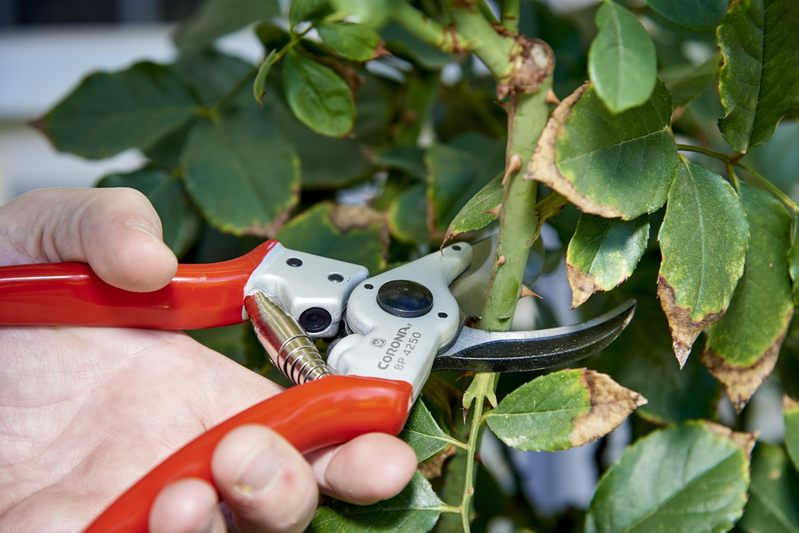 Packaging of the Corona BP 4250 Bypass Pruner