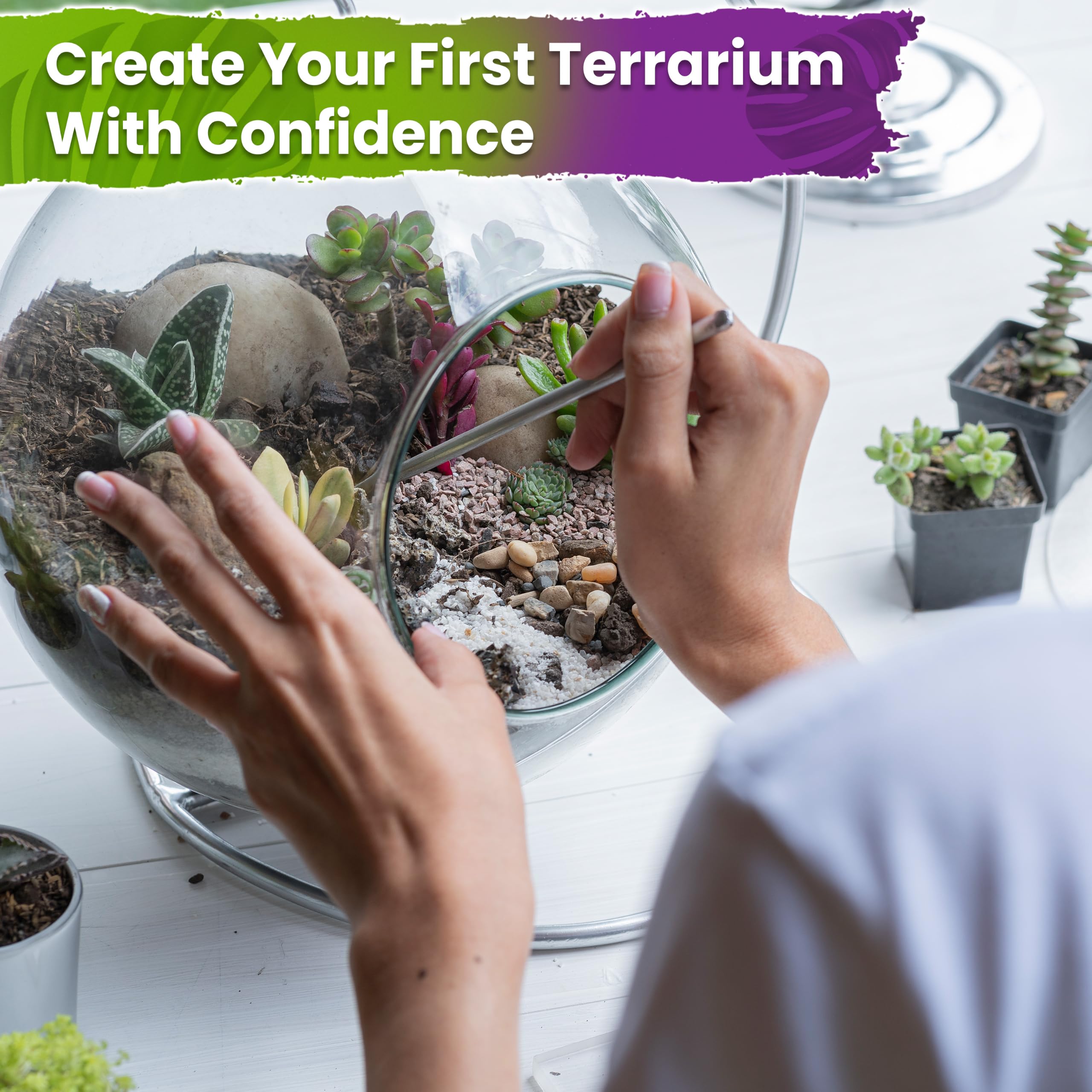 Packaging of the Duspro DIY Terrarium Starter Kit