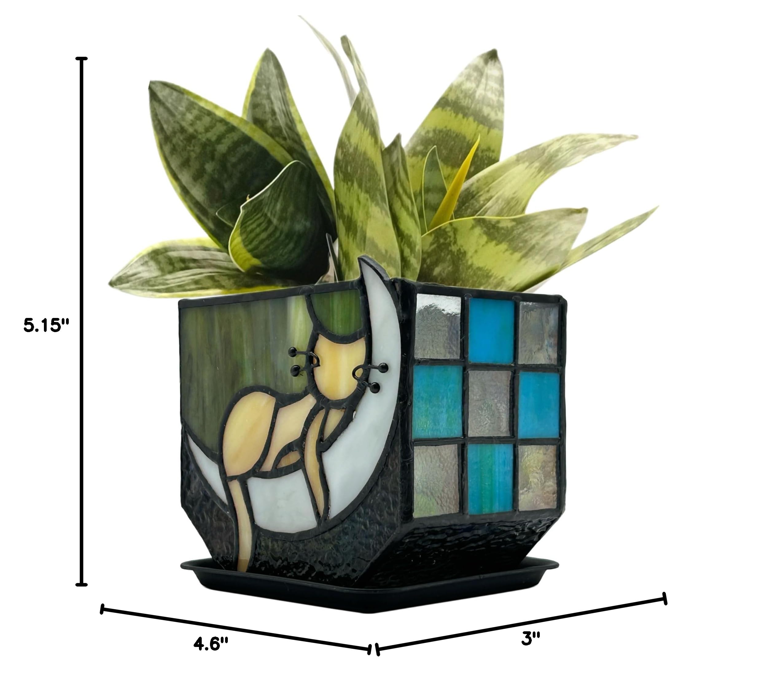 Packaging of the Entlityful Moon Sleeping Cat Planter