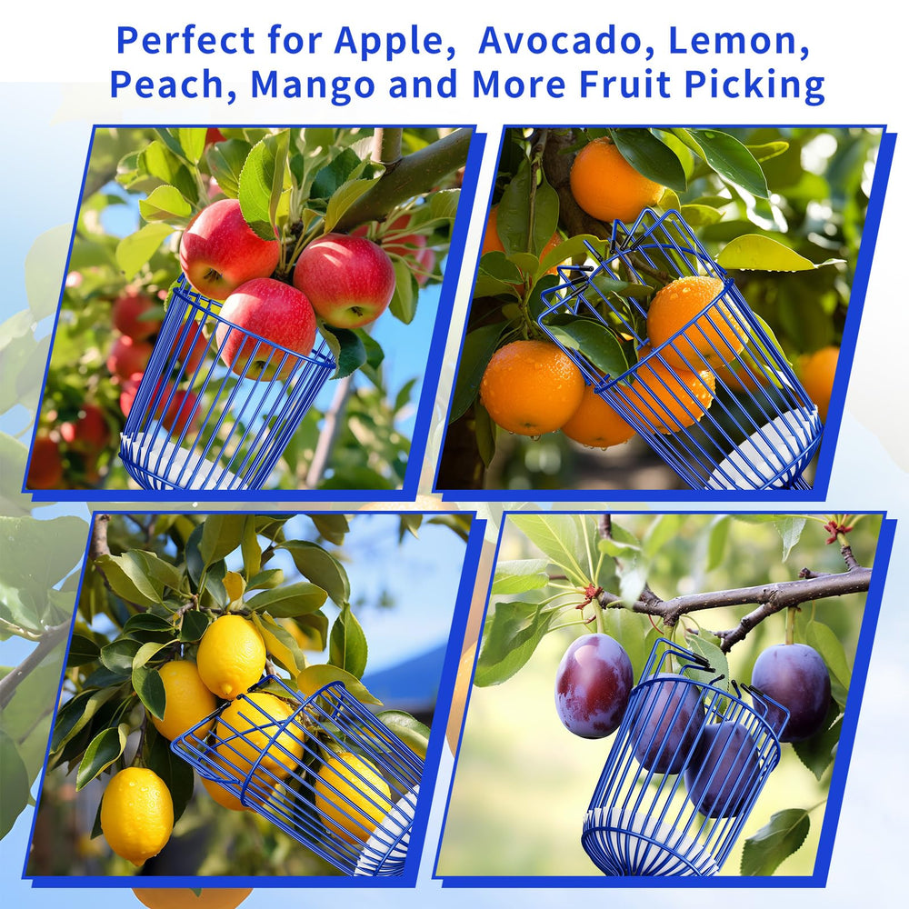Packaging of the Ginbel Direct Fruit Picker