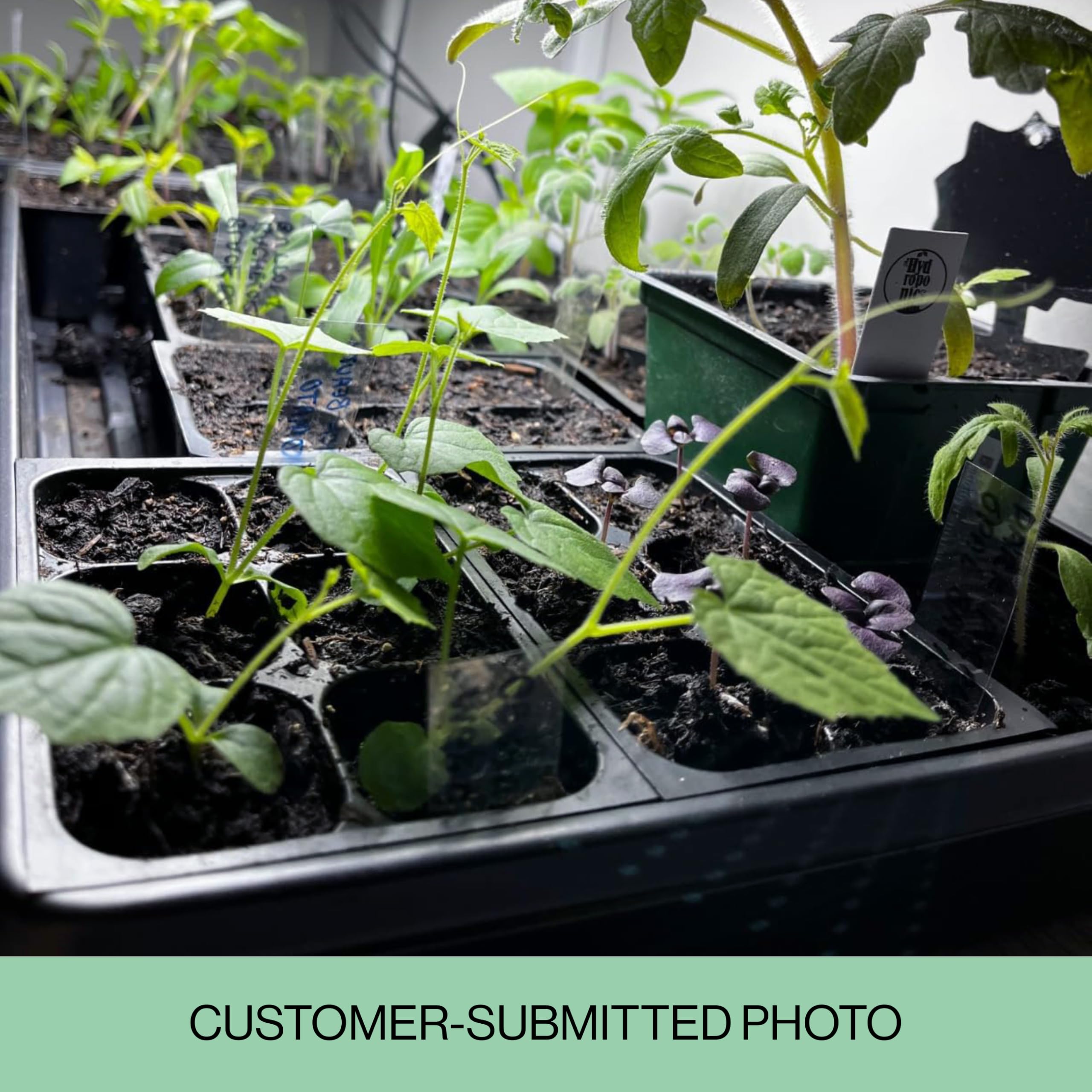 Packaging of The Hydroponic City seed starter trays