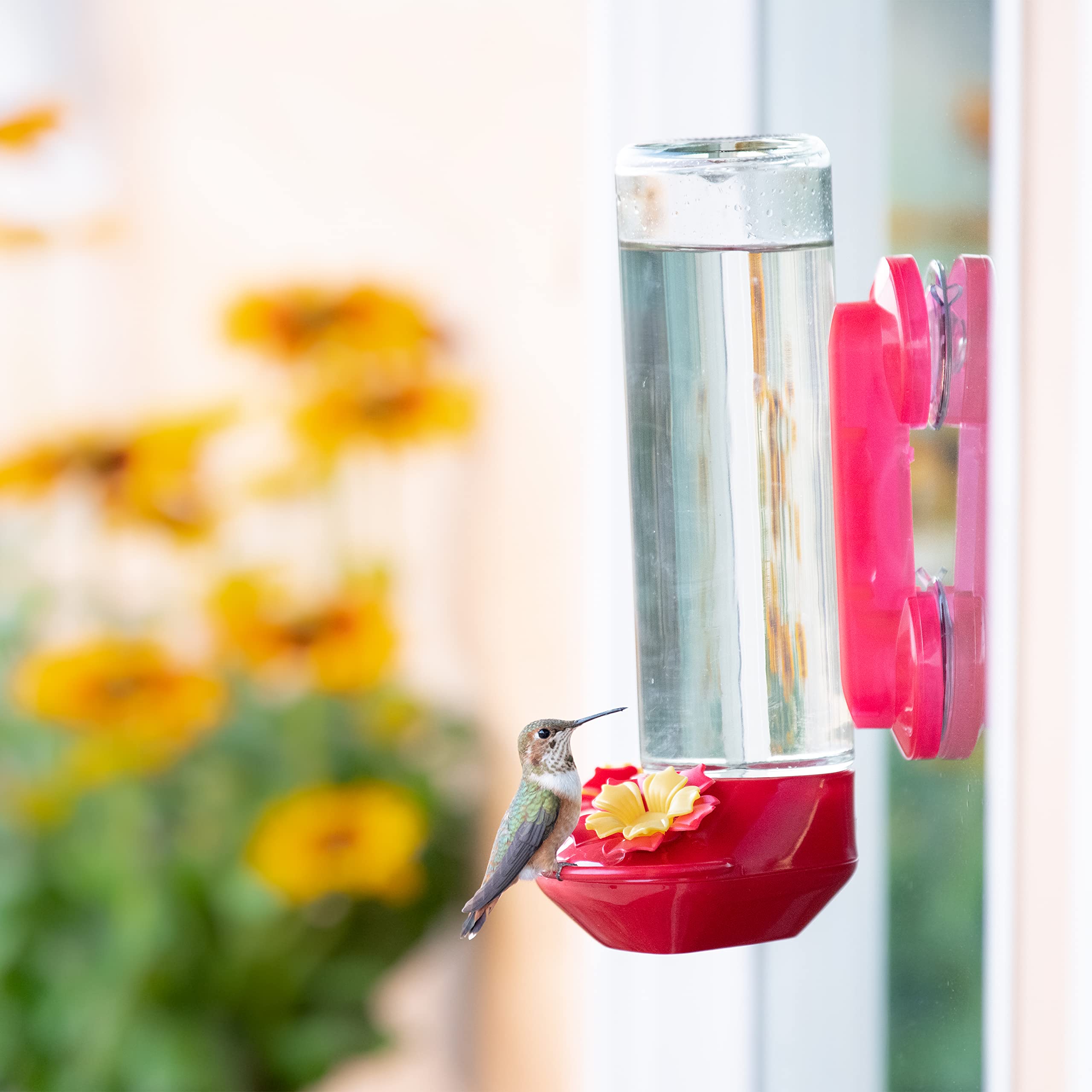 Packaging of the Perky-Pet Window-Mounted Glass Hummingbird Feeder