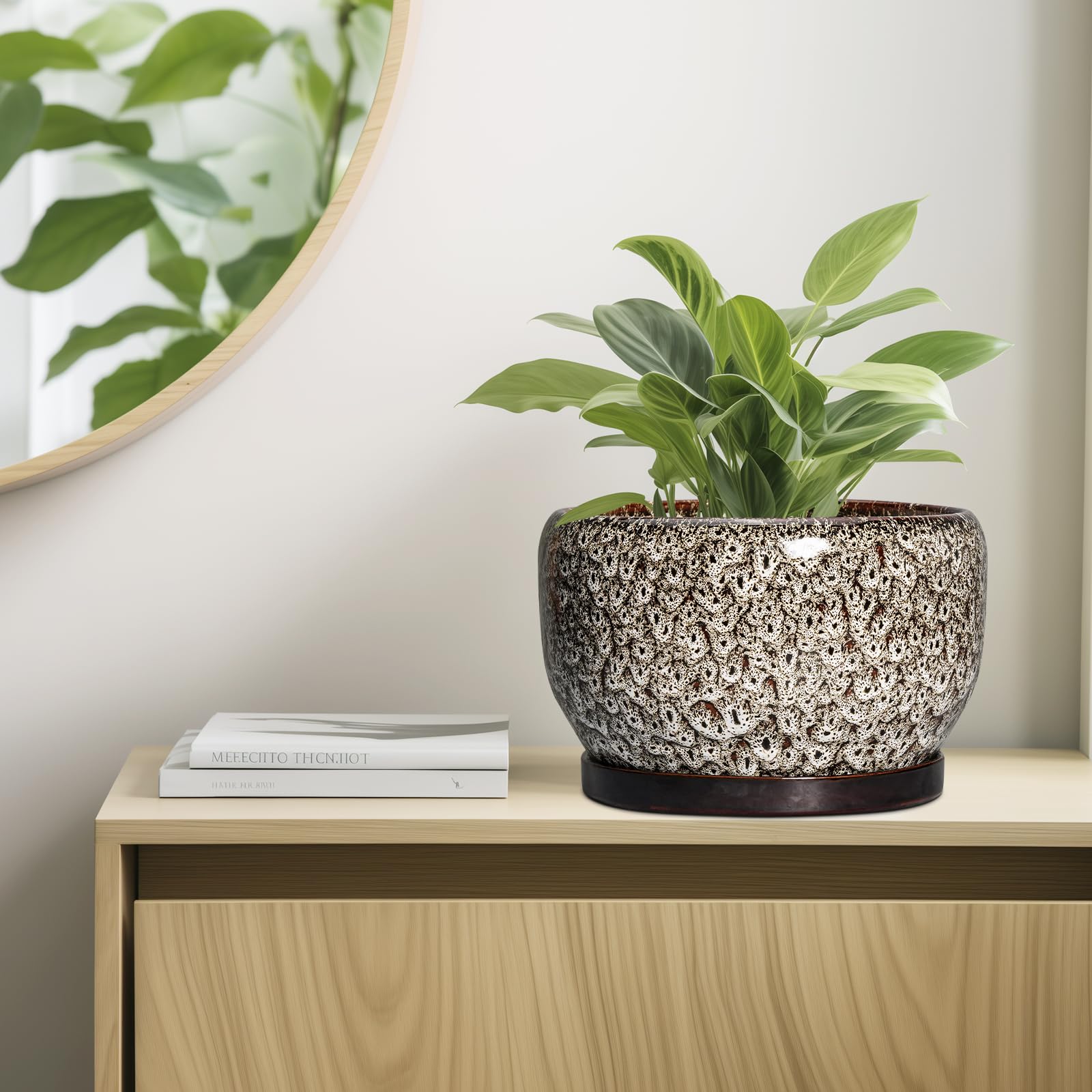 Packaging of the SQOWL Ceramic Plant Pot with accessories