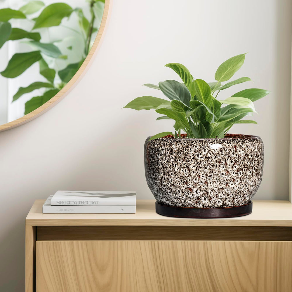 Packaging of the SQOWL Ceramic Plant Pot with accessories