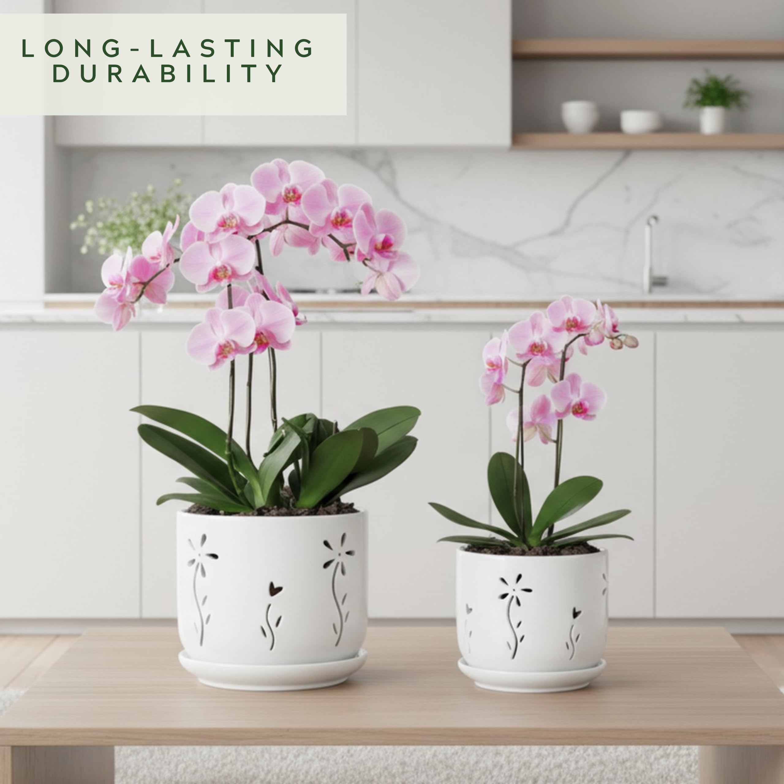 Packaging of Thriving Thicket orchid pot set for safe delivery
