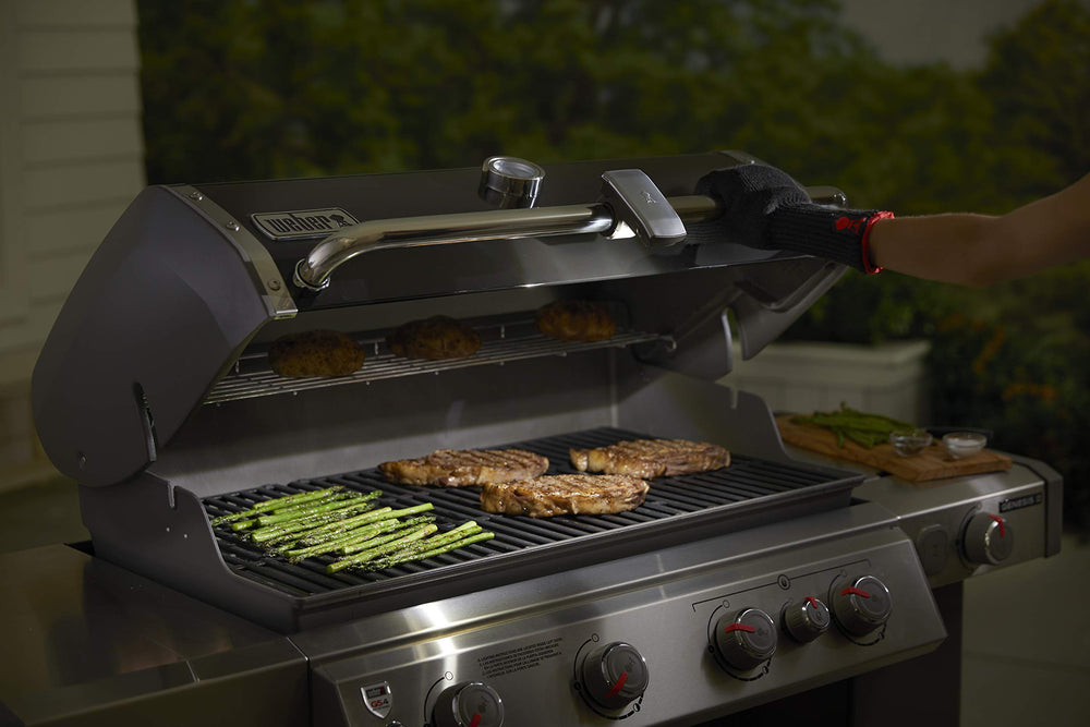 Packaging of Weber Grill ’N Go Light