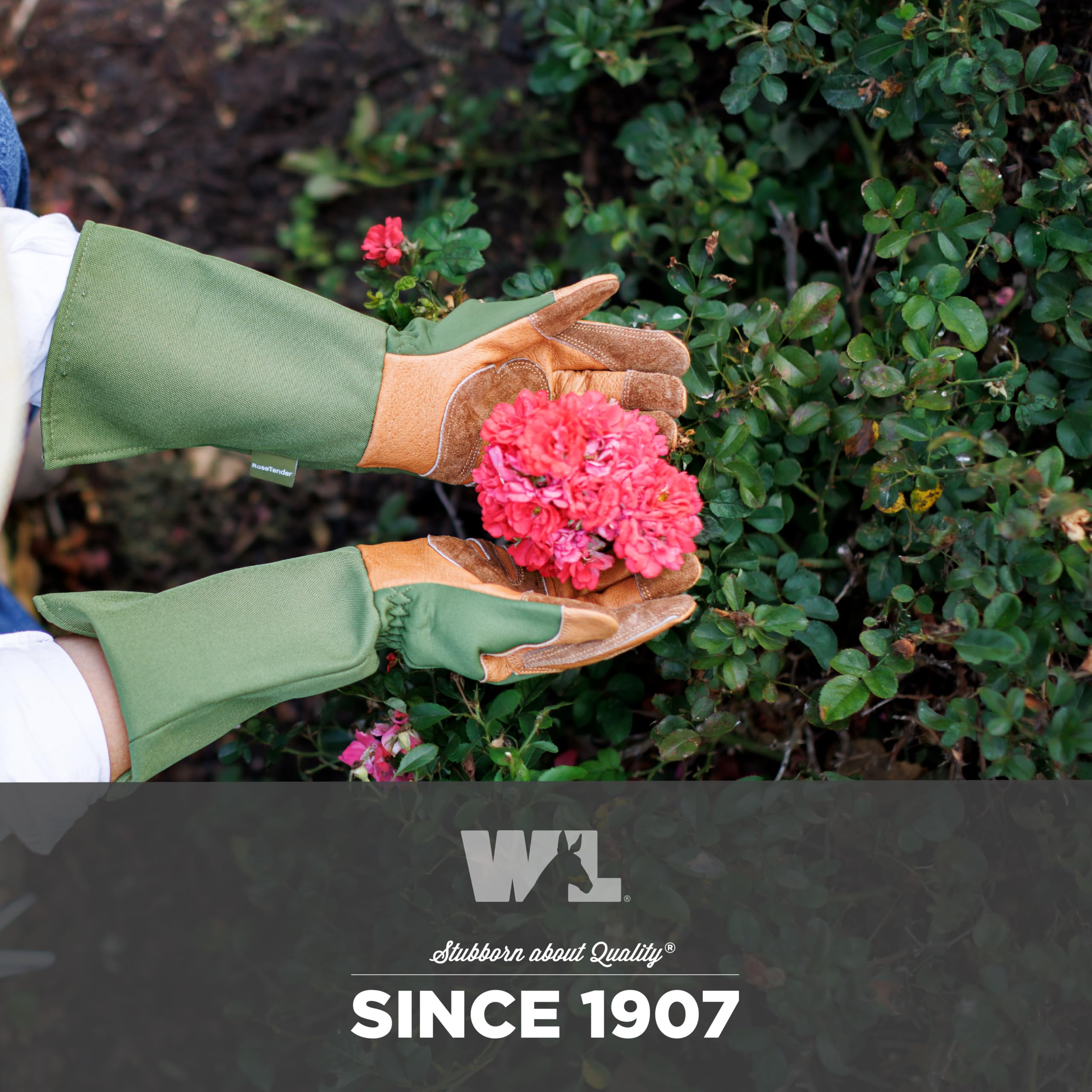 Packaging of Wells Lamont women's leather gardening gloves