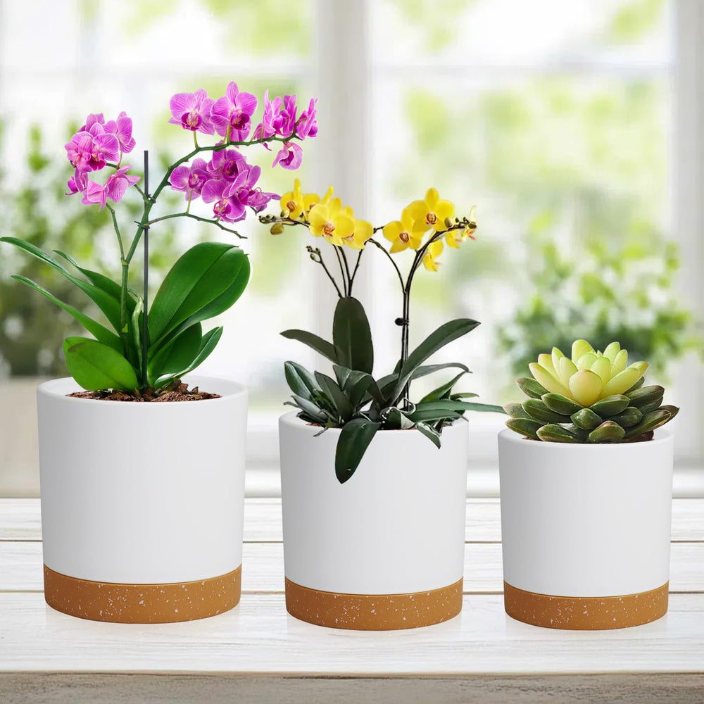 Packaging of WSMKSZ cylindrical flower pots set