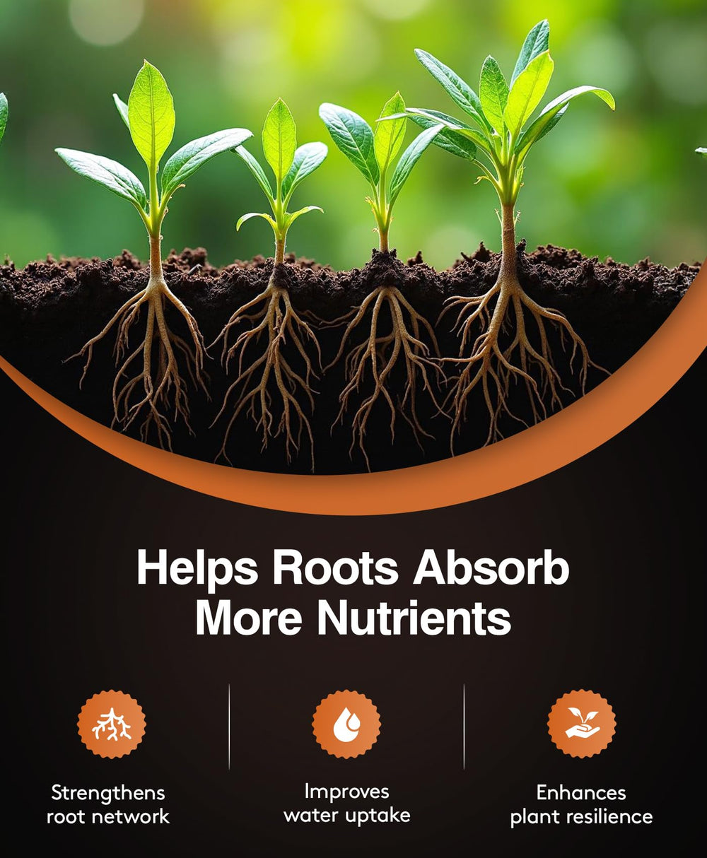 Packaging of Xtreme Gardening Mykos Mycorrhizae 1 lb