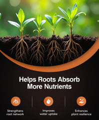 Packaging of Xtreme Gardening Mykos Mycorrhizae 1 lb