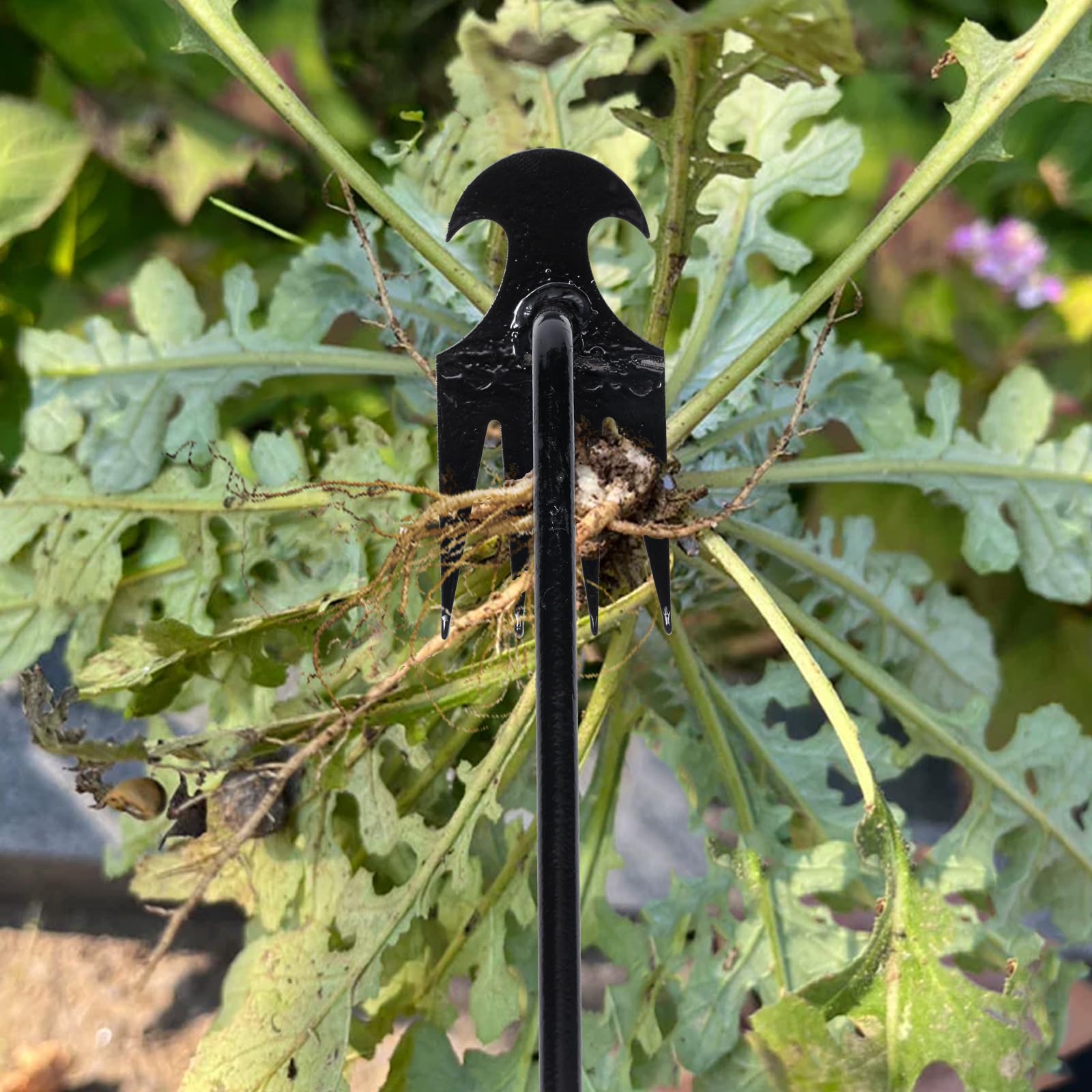 Packaging of Young4us Garden Weed Pulling Tool