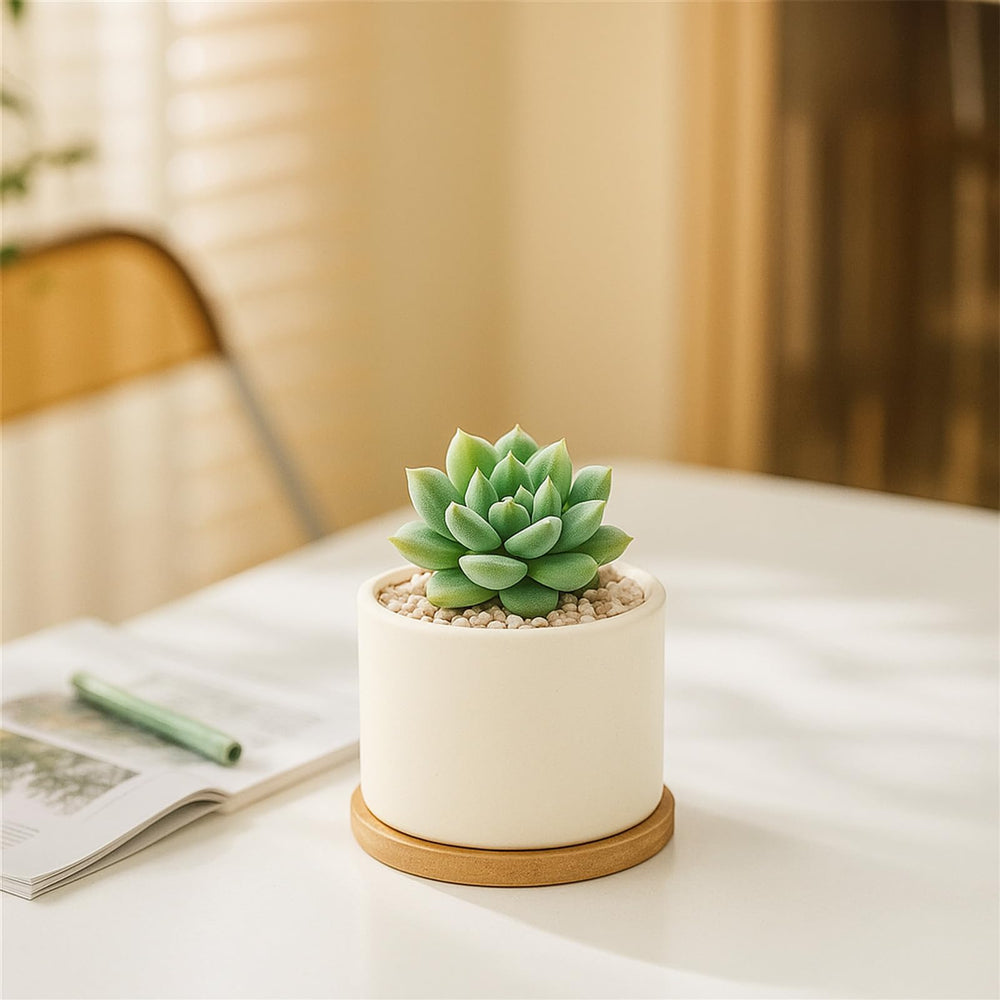 Packaging of ZOUTOG 6 Pack Ceramic Pots