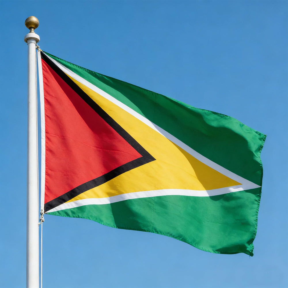 Packed VELIFFCO Guyana Flag with dimensions