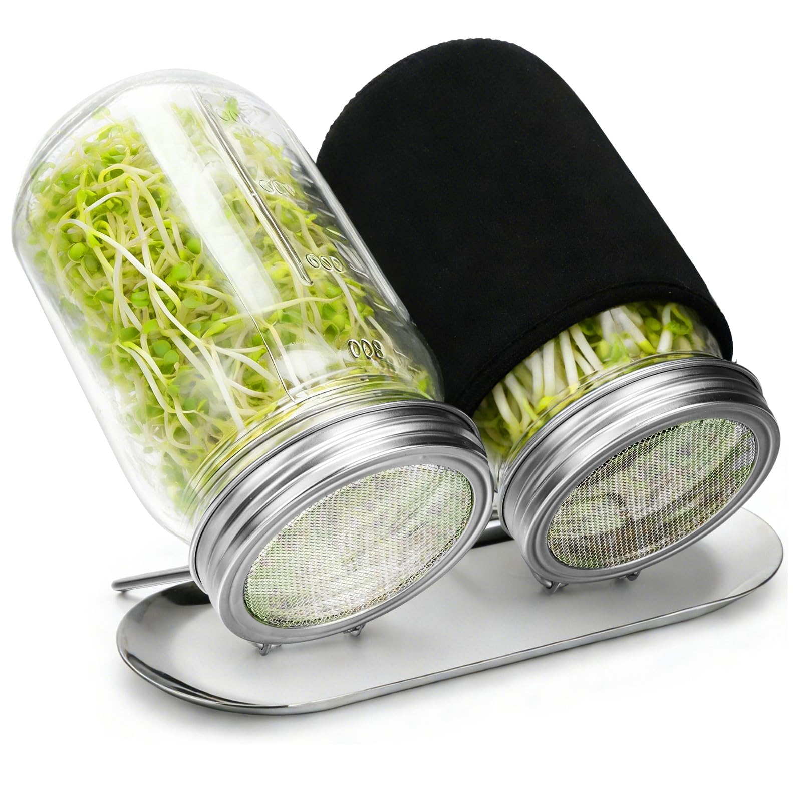 Palksky Sprouting Kit with two 24 oz glass mason jars and stainless steel lids