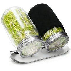 Palksky Sprouting Kit with two 24 oz glass mason jars and stainless steel lids