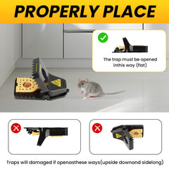 PAMAX Mouse Trap demonstrating humane kill mechanism