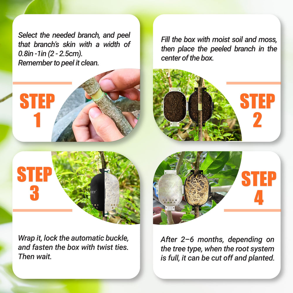 PAMAZY tree root growing box in a gardening setup