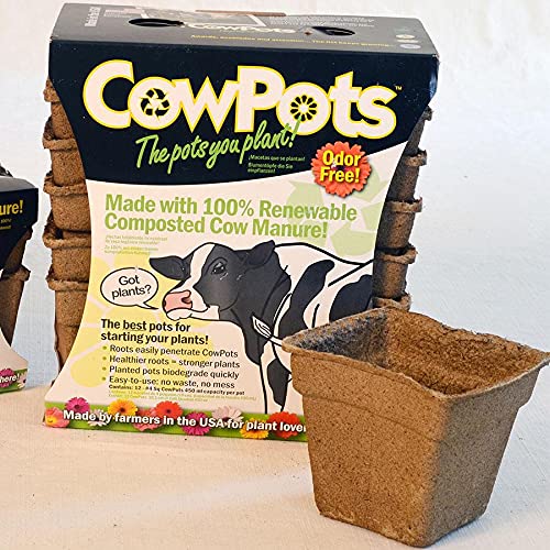 Park Seed CowPots 4-inch tall square seedling starter set of 12