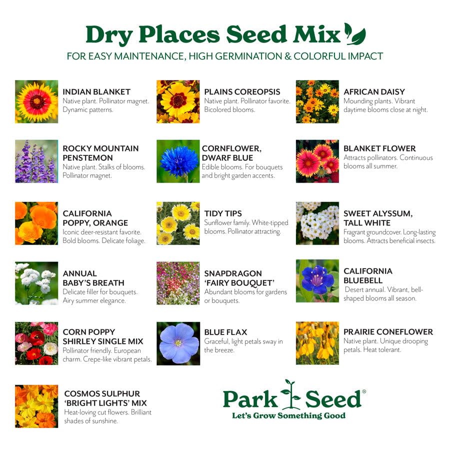 Park Seed Wildflower Garden Mixture 1 lb in a garden setting