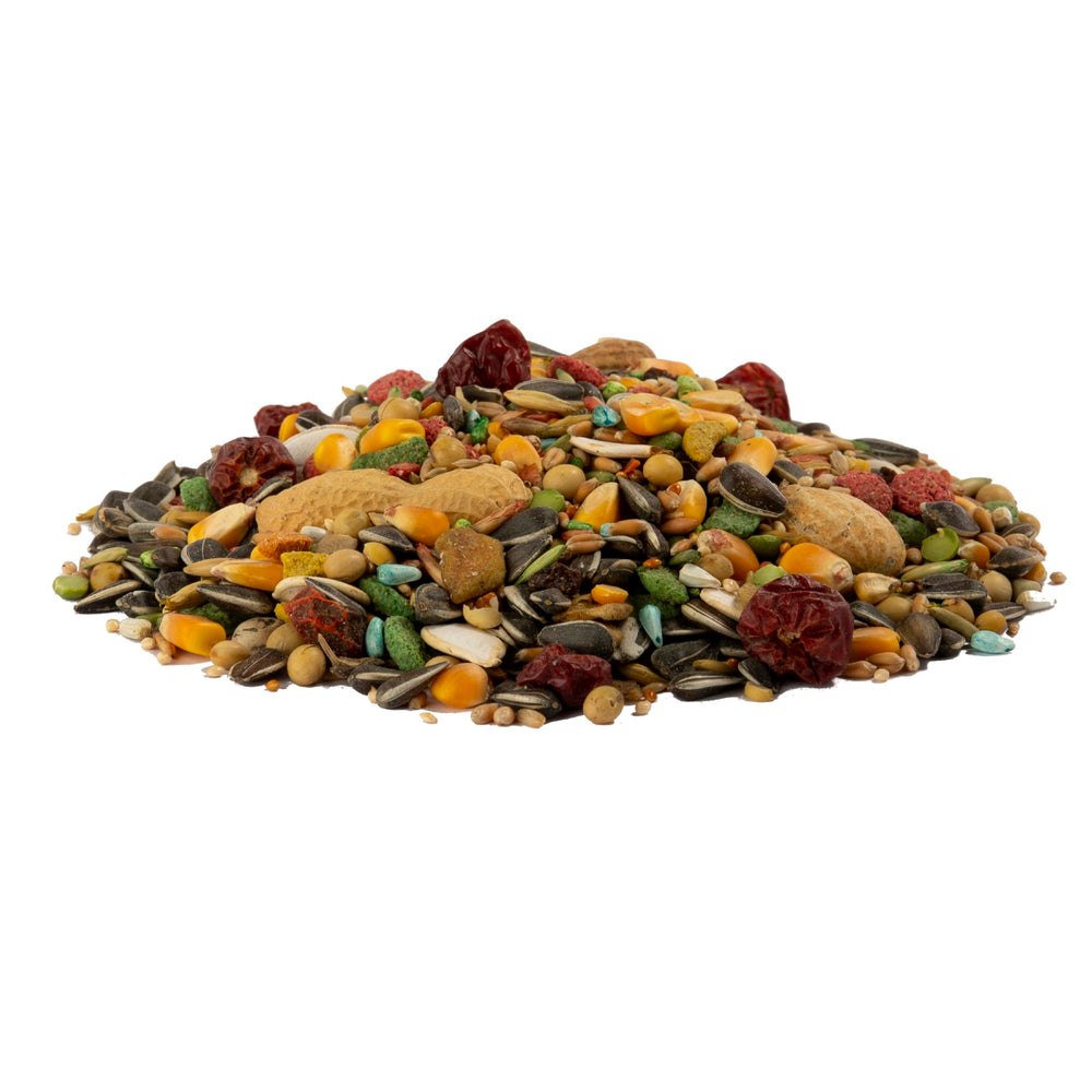 Parrot enjoying Wild Harvest Advanced Nutrition food