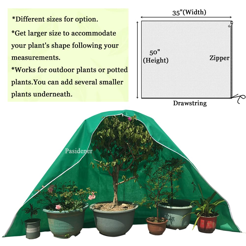 Pasidener Plant Covers installation on a small tree
