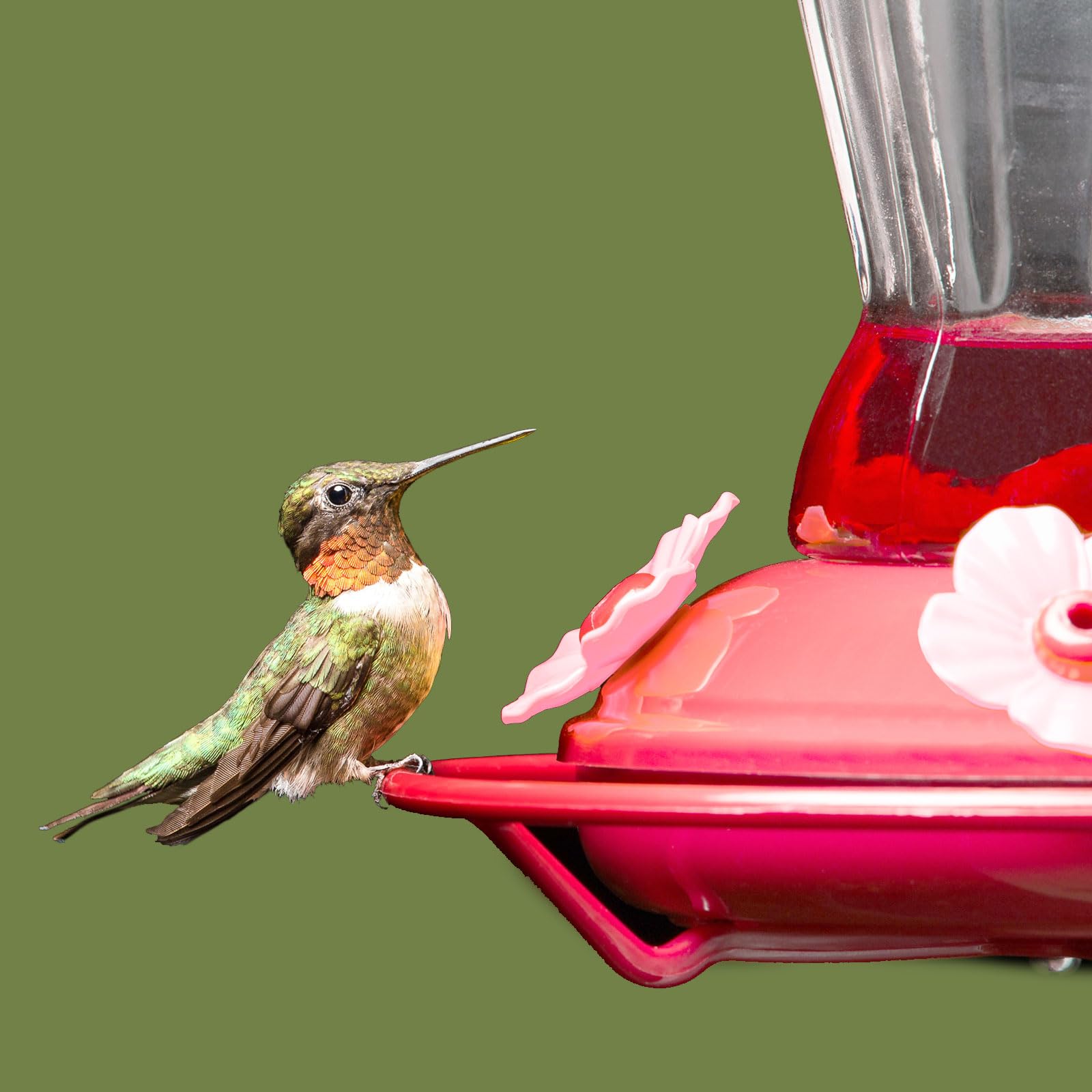 Patelai pink hummingbird feeder flowers installed in a feeder