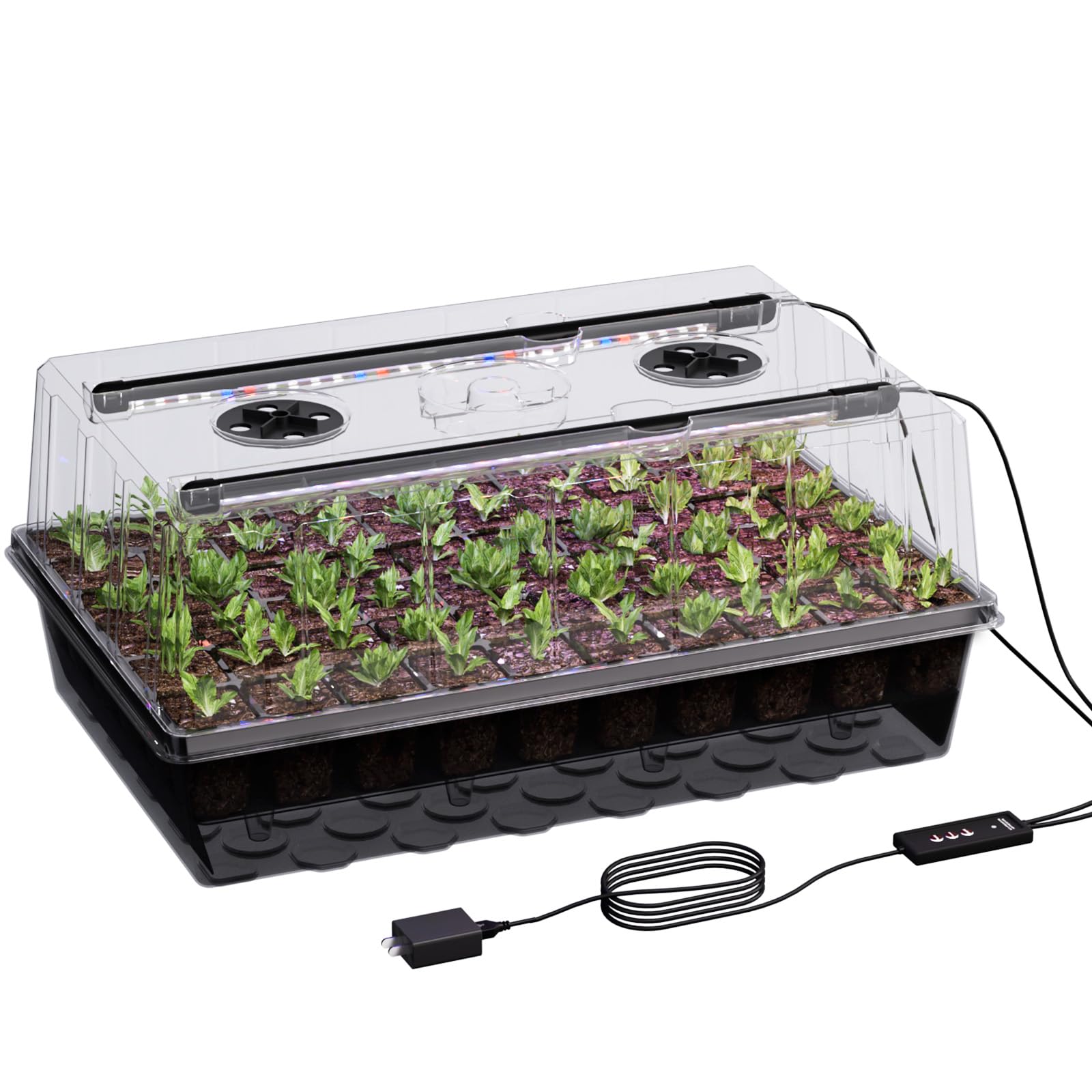 Patigrow 60-Cell Seed Starter Tray with humidity dome
