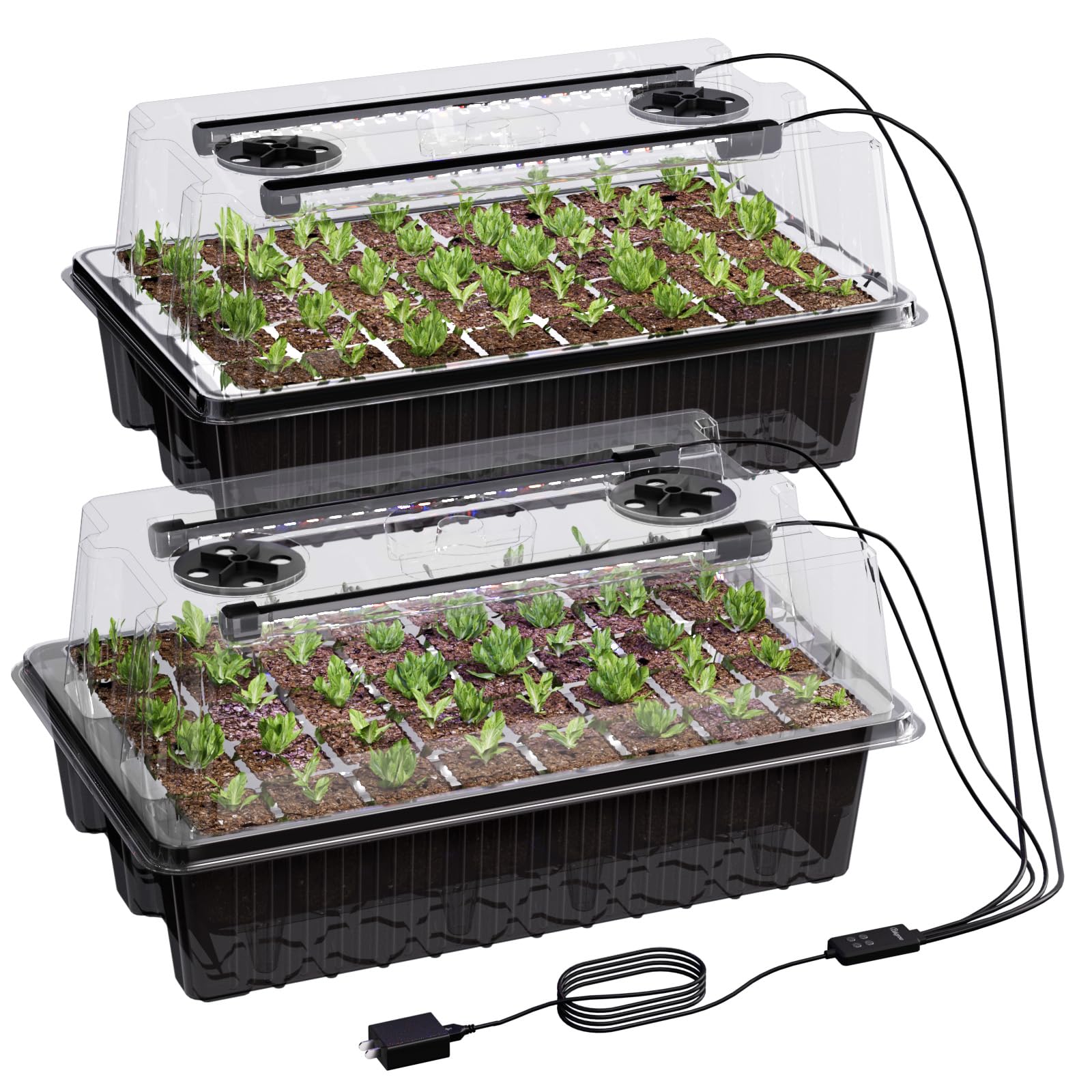 Patigrow 80-Cell Seed Starter Kit with black humidity dome and grow light