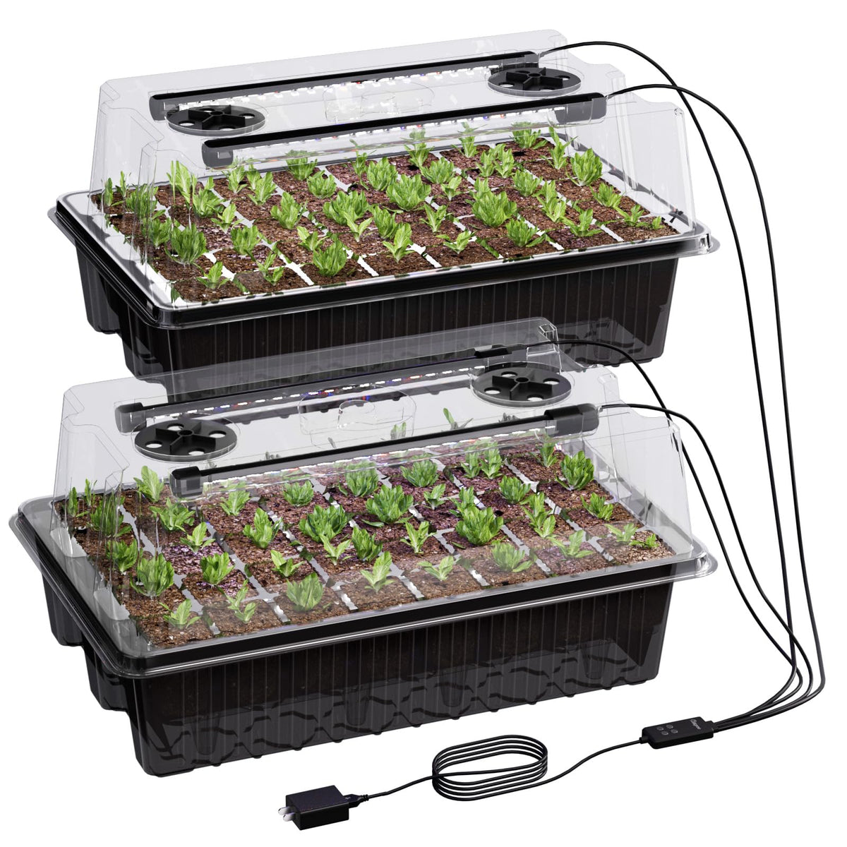Patigrow 80-Cell Seed Starter Kit with black humidity dome and grow light