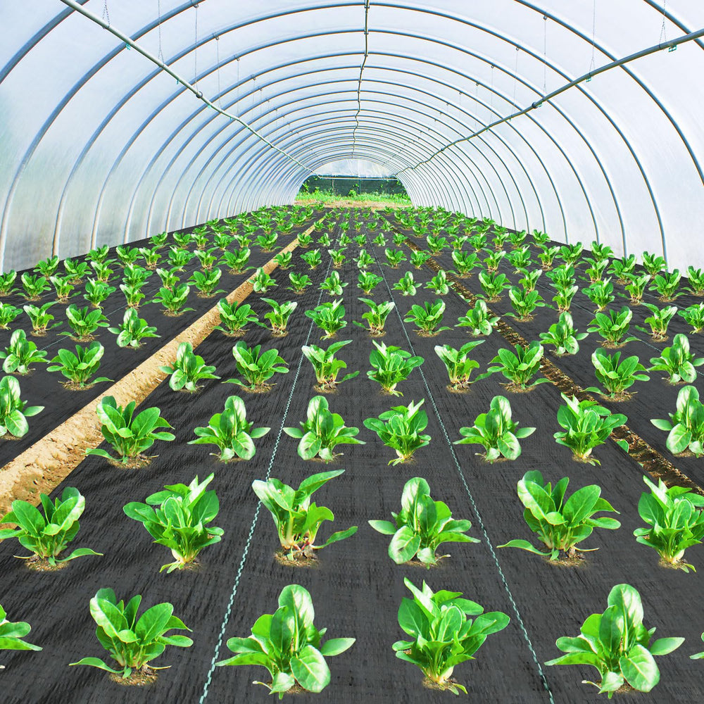 Pattiumo Weed Barrier Fabric in a landscaped garden