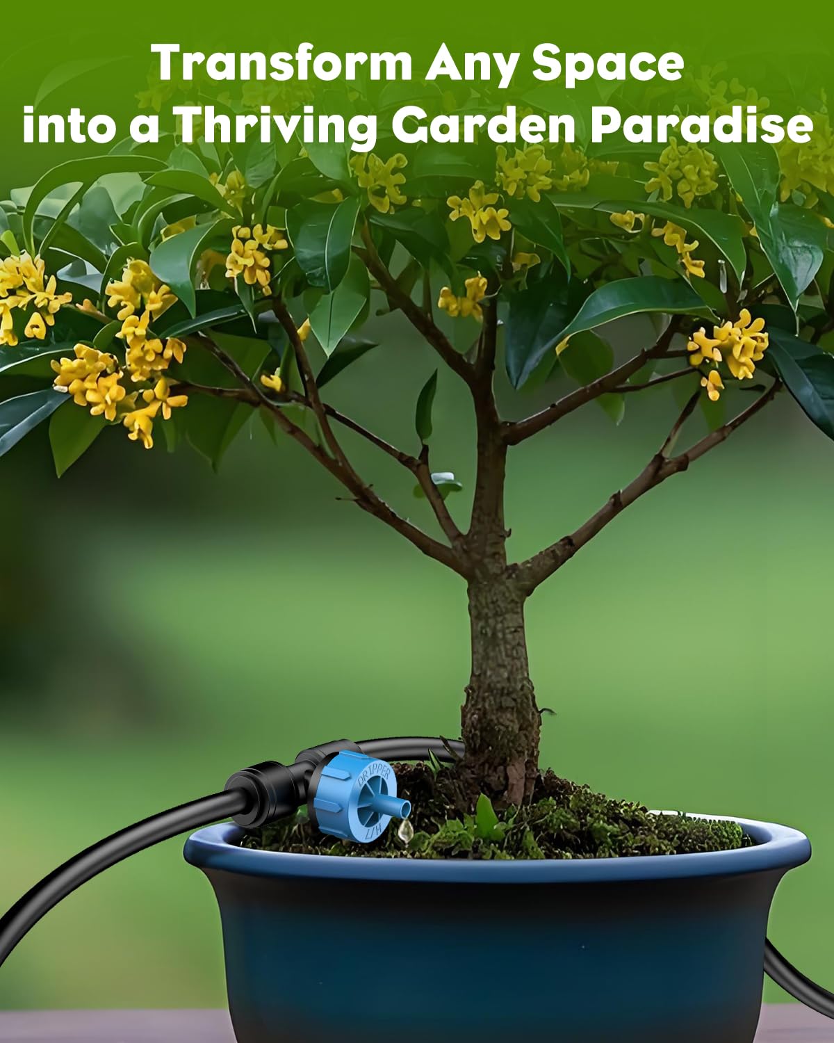 Pawfly drip irrigation tubing installation example