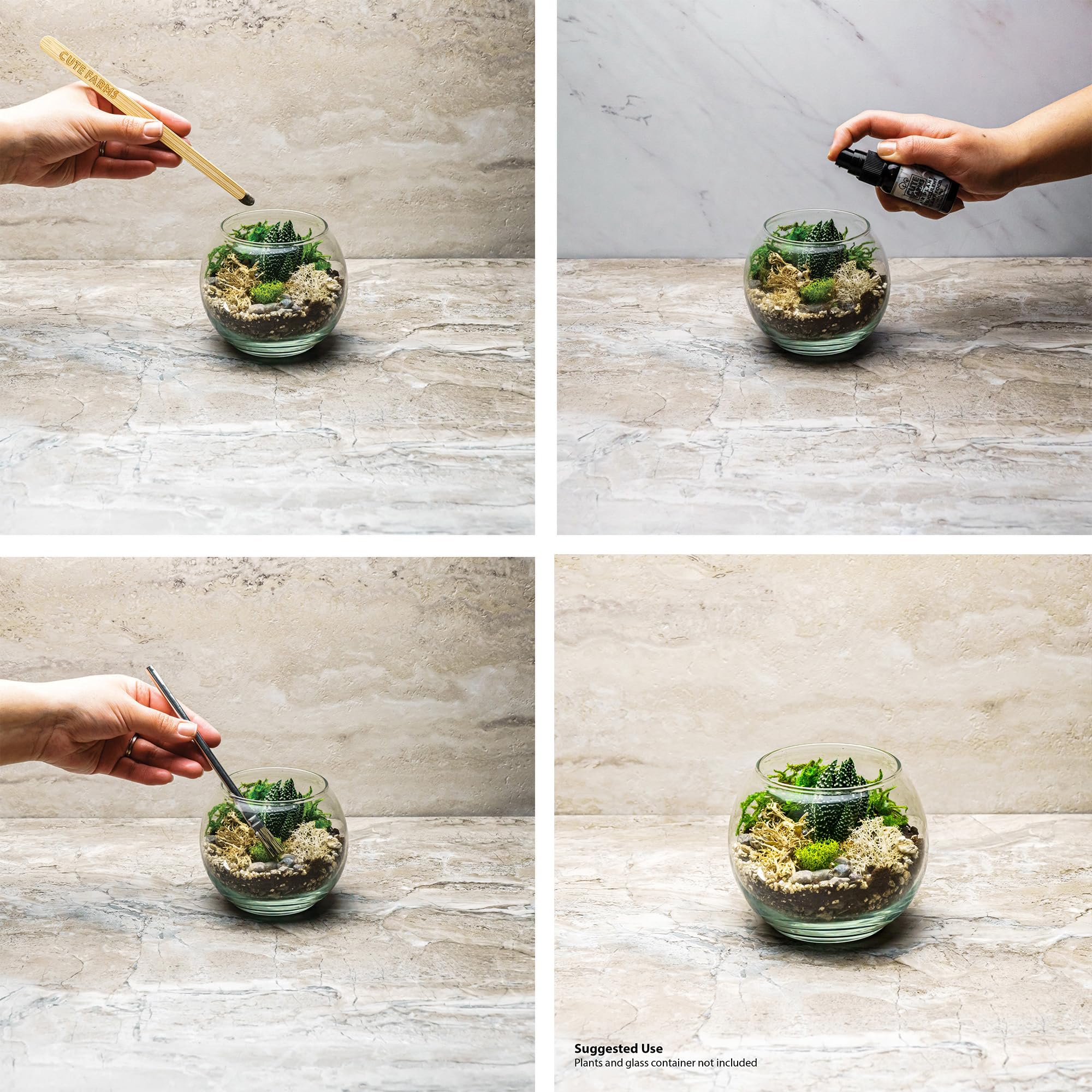 Pea pebbles and river stones in the Cute Farms Terrarium Starter Kit