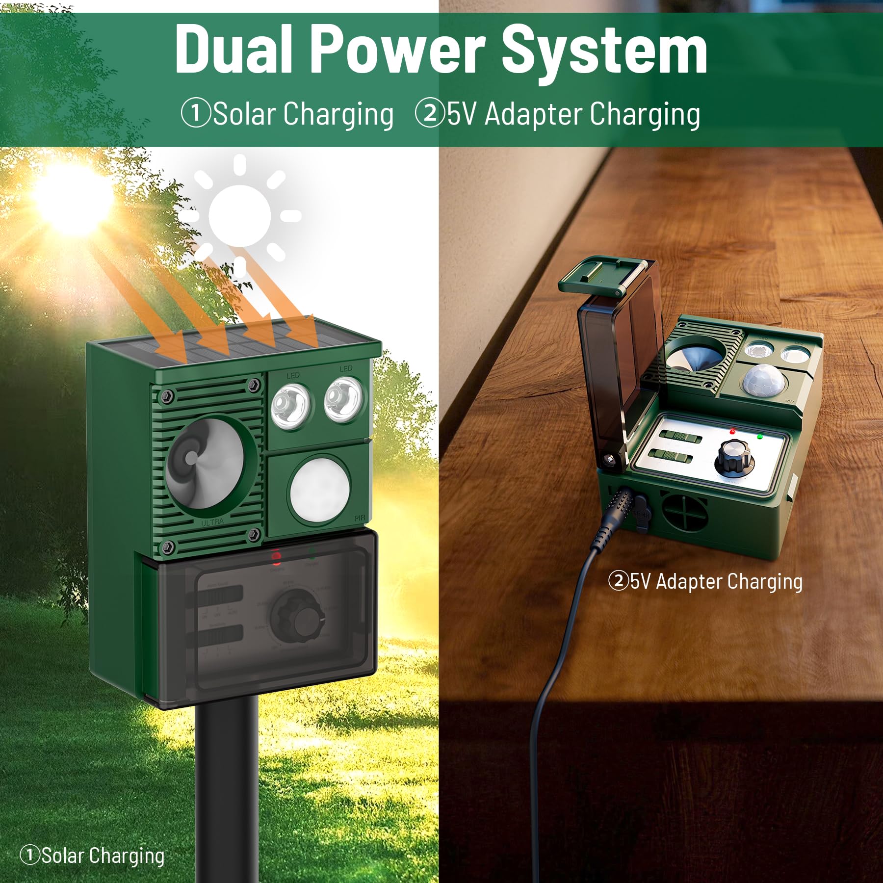 Peepst Solar Animal Repeller demonstrating motion detection