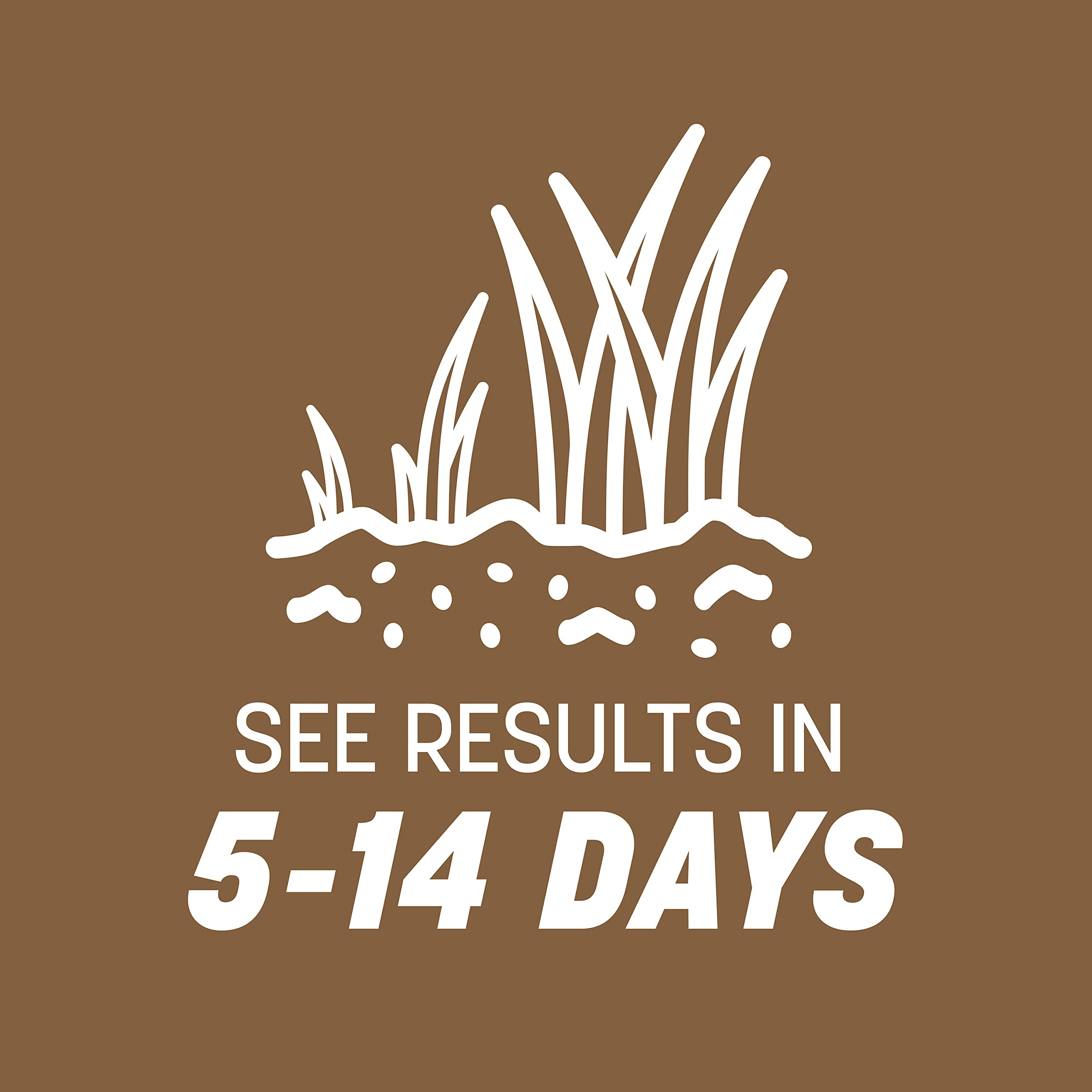 Pennington Bare Spot Repair Grass Seeds application process
