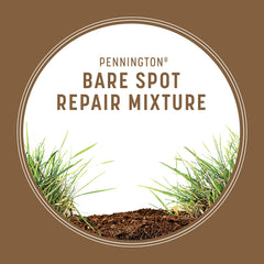 Pennington Bare Spot Repair Grass Seeds on a lawn
